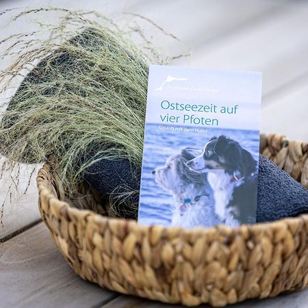 Solvis Villa Zingst Dış mekan fotoğraf